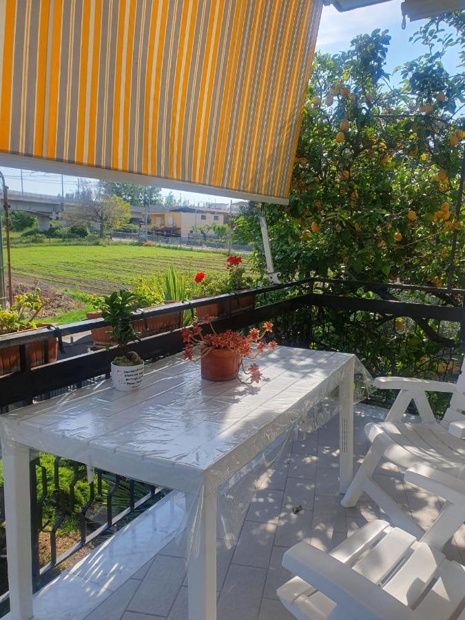 Ospitalita Il Noce Panzió Brusciano Kültér fotó